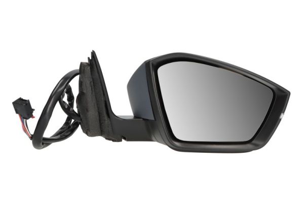 Buitenspiegel Blic 5402-43-1319313P