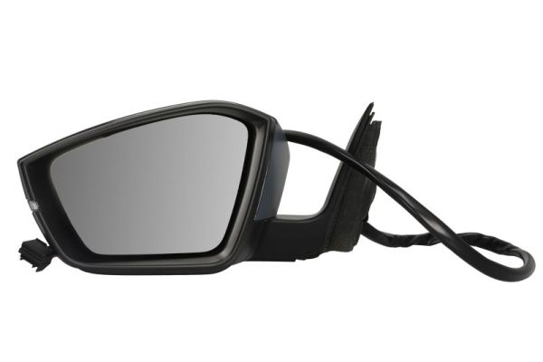 Buitenspiegel Blic 5402-43-1319316P