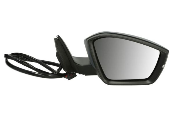 Buitenspiegel Blic 5402-43-1319317P