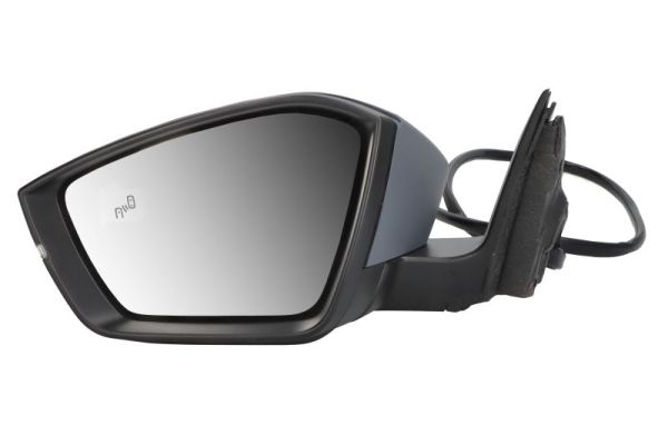 Buitenspiegel Blic 5402-43-1319318P