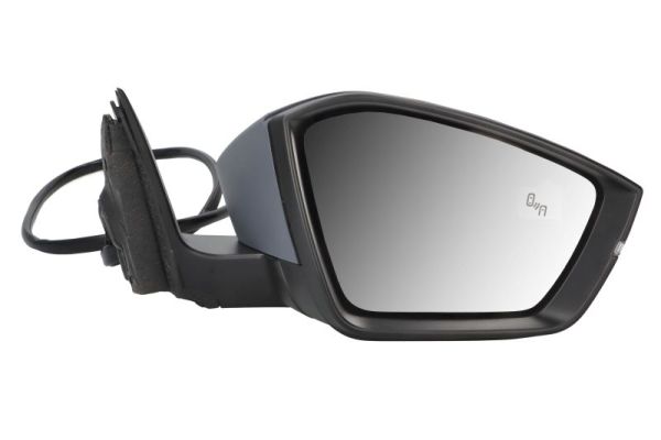 Buitenspiegel Blic 5402-43-1319319P