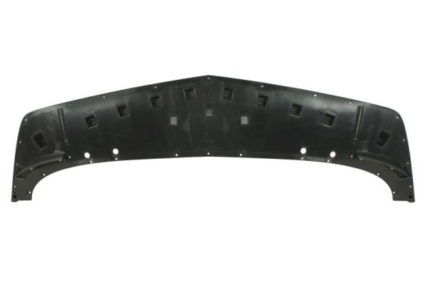 Spoiler Blic 5511-00-1189220P