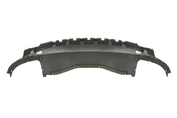 Spoiler Blic 5511-00-9584220P