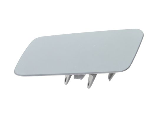 Plaat, bumper Blic 5513-00-9586911P