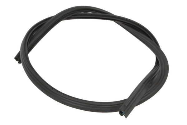 Afdichting, voorruit Blic 5703-04-6038011Q