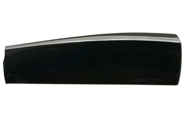 Sier- / beschermingspaneel, deur Blic 5703-04-7807578P