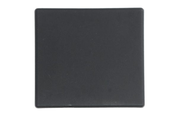 Ventilatiegrille, bumper Blic 5703-05-9576919PP