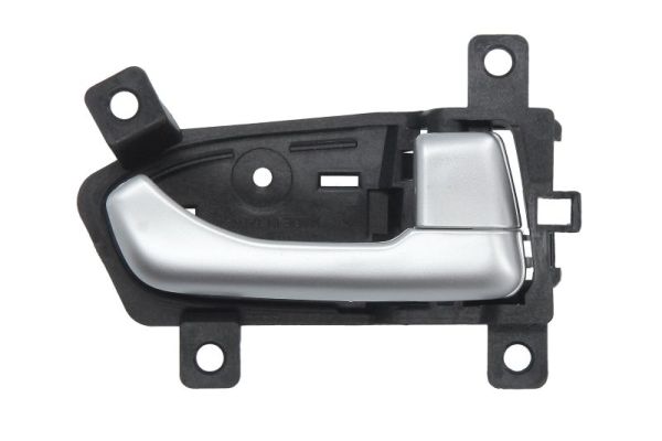 Handgreep, interieur Blic 6010-53-0671408P