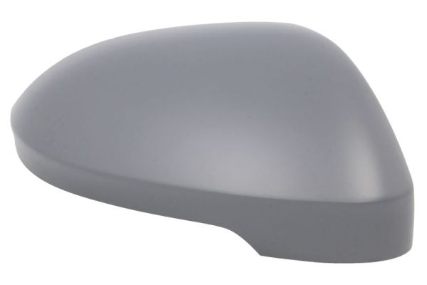 Afdekking, buitenspiegel Blic 6103-01-2555313P