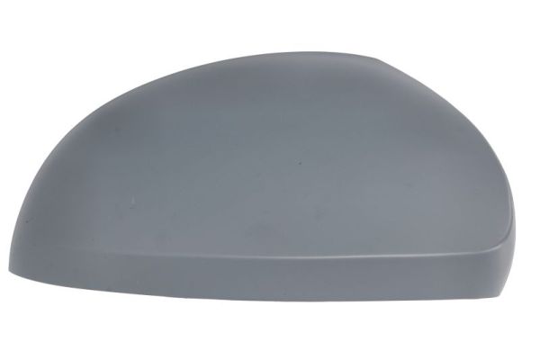 Behuizing, buitenspiegel Blic 6103-10-2002266P