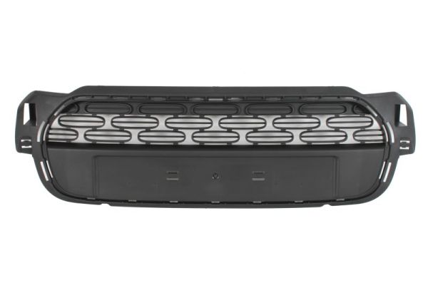 Grille Blic 6502-07-0533990P