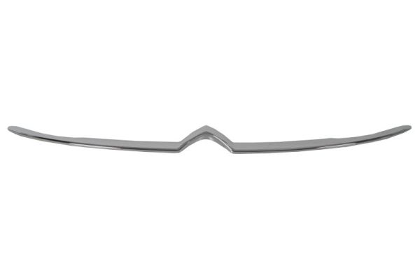 Sier- / Beschermingspaneel, radiateurgrille Blic 6502-07-0554922P