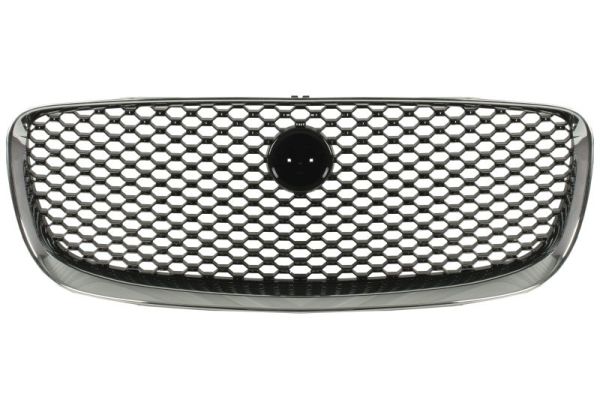 Radiateurgrille Blic 6502-07-0599990P