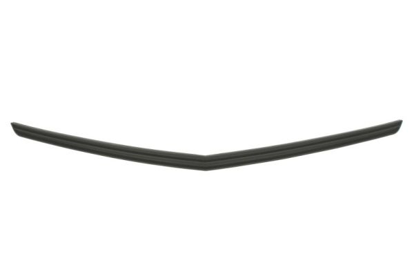 Sier- / Beschermingspaneel, radiateurgrille Blic 6502-07-1189994P