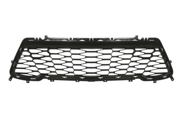 Ventilatiegrille, bumper Blic 6502-07-1196916P