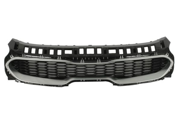Radiateurgrille Blic 6502-07-2173990P