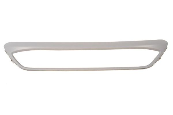 Sier- / Beschermingspaneel, radiateurgrille Blic 6502-07-2579982P