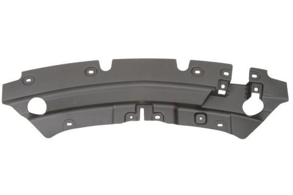 Sier- / beschermingspaneel, bumper Blic 6502-07-2579999P