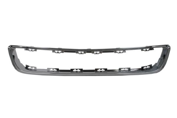 Sier- / Beschermingspaneel, radiateurgrille Blic 6502-07-2585995P