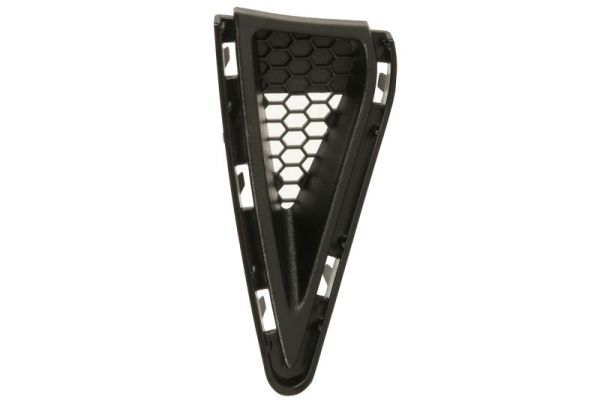 Ventilatiegrille, bumper Blic 6502-07-2589992FP