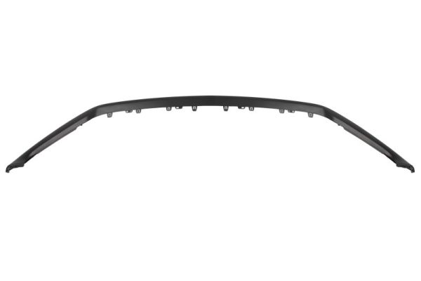 Sier- / beschermingspaneel, bumper Blic 6502-07-2597920P