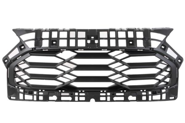 Radiateurgrille Blic 6502-07-2953991P
