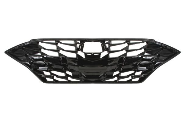 Grille Blic 6502-07-3170990P