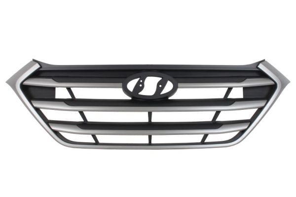 Radiateurgrille Blic 6502-07-3177995P