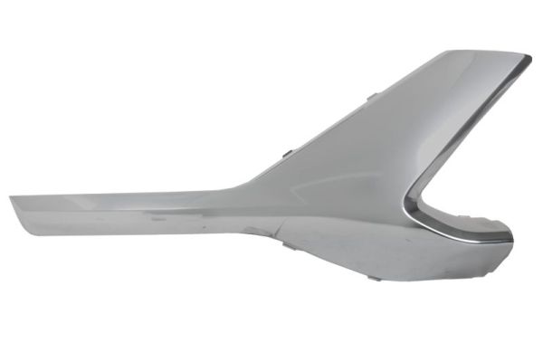 Sier- / beschermingspaneel, bumper Blic 6502-07-3184922CP