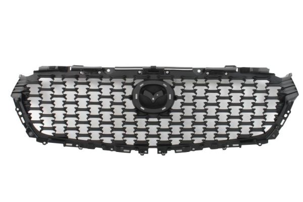 Radiateurgrille Blic 6502-07-3460992P
