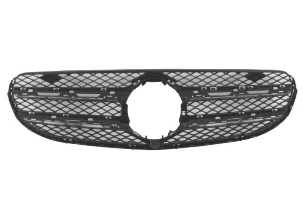 Radiateurgrille Blic 6502-07-3534991P