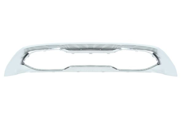 Sier- / beschermingspaneel, bumper Blic 6502-07-3537915P