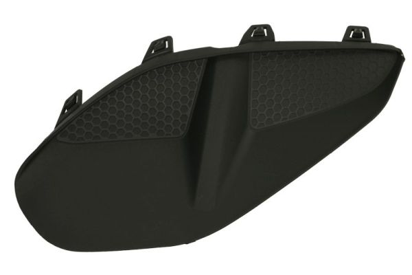 Ventilatiegrille, bumper Blic 6502-07-5028911Q