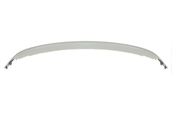 Sier- / beschermingspaneel, bumper Blic 6502-07-5041920P