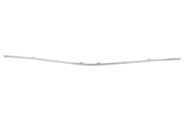 Sier- / Beschermingspaneel, radiateurgrille Blic 6502-07-5055996P