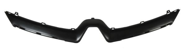 Sier- / Beschermingspaneel, radiateurgrille Blic 6502-07-6034991P