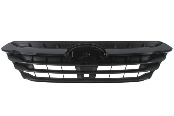 Radiateurgrille Blic 6502-07-6717991P