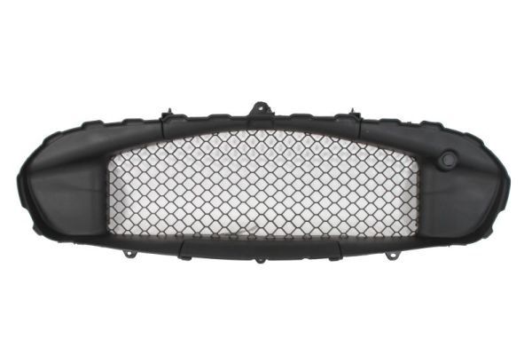 Ventilatiegrille, bumper Blic 6502-07-6904981P