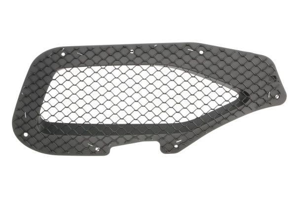 Ventilatiegrille, bumper Blic 6502-07-6904992TP