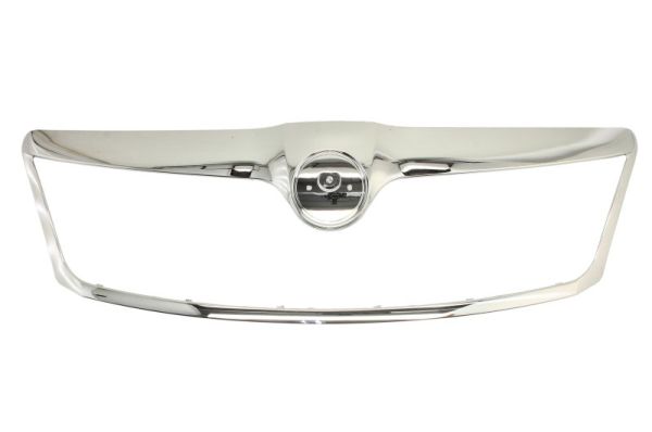 Sier- / Beschermingspaneel, radiateurgrille Blic 6502-07-7521999Q