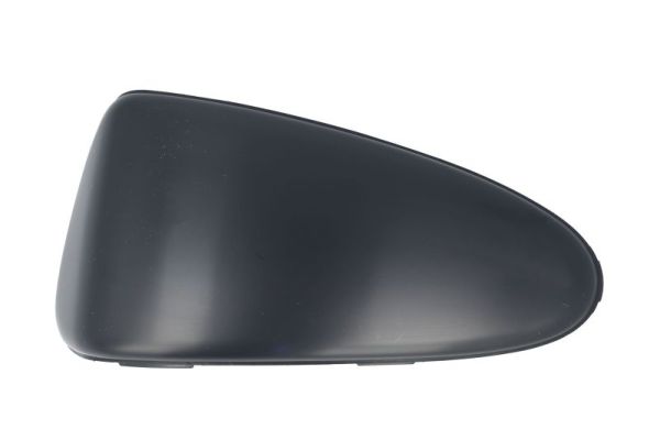 Sier- / beschermingspaneel, bumper Blic 6502-07-8101972Q