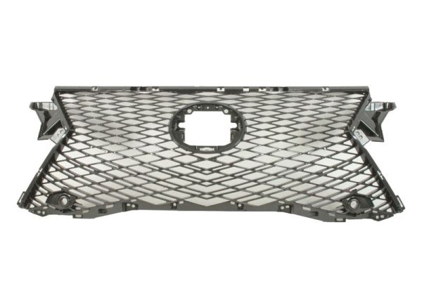 Radiateurgrille Blic 6502-07-8123991P
