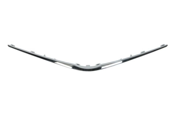 Sier- / Beschermingspaneel, radiateurgrille Blic 6502-07-8156210Q