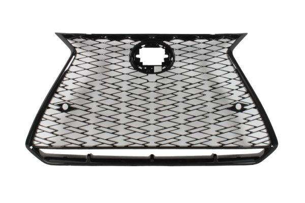 Radiateurgrille Blic 6502-07-8268992P
