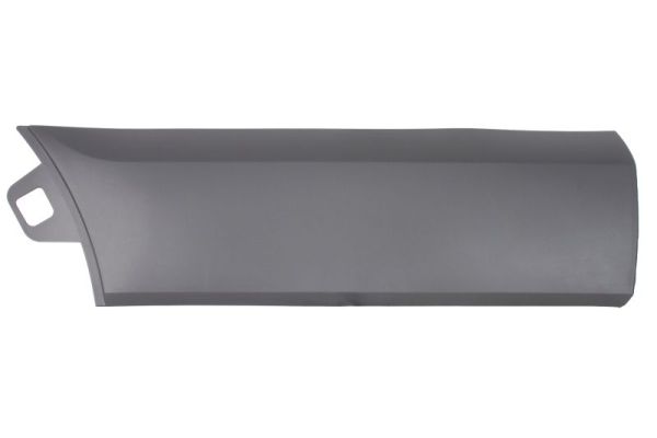 Sier- / beschermingspaneel, deur Blic 6601-02-2518429P