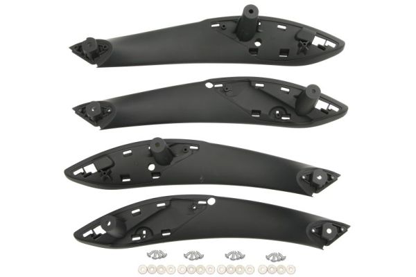 Handgreep, interieur Blic 8800-00-1950280P