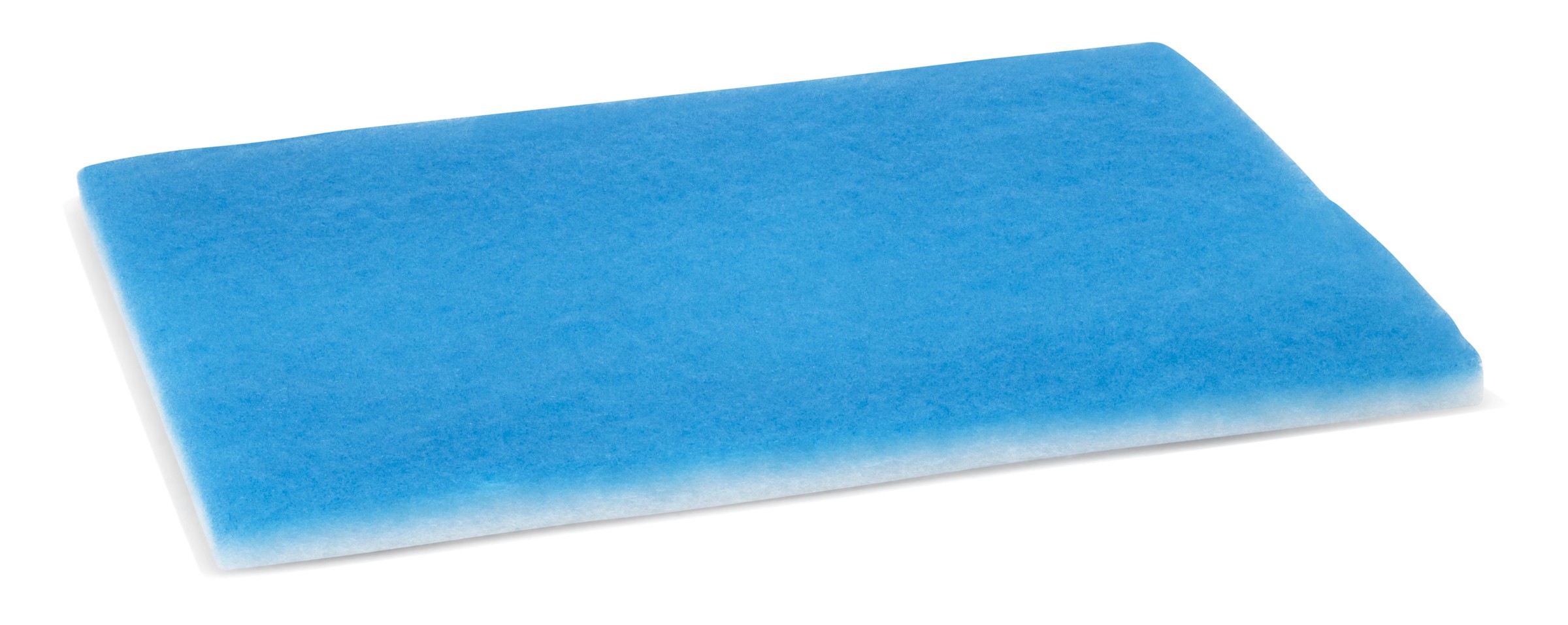 Interieurfilter Fleetguard AF55890