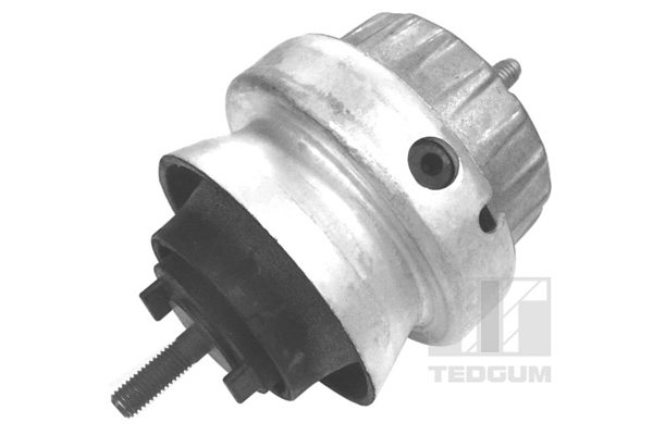 Motorsteun Tedgum 00056444