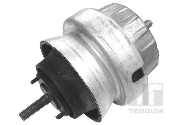 Motorsteun Tedgum 00056452