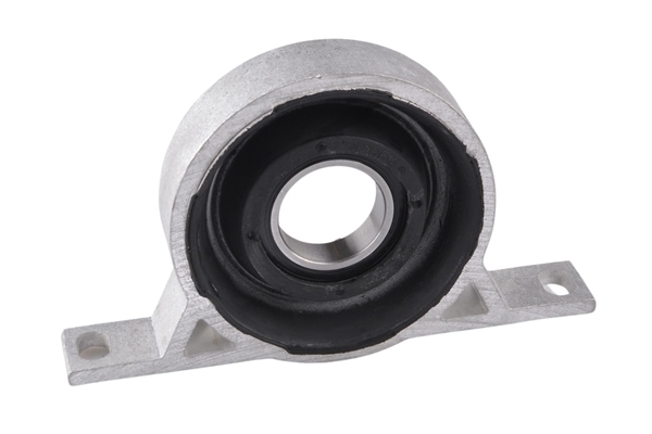 Cardanaslager / ophanging Tedgum 00086610